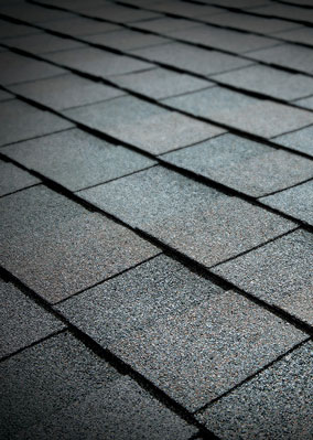 Wertz and Company Images