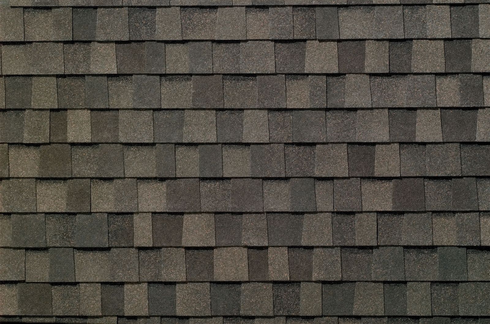 Wertz and Company Images