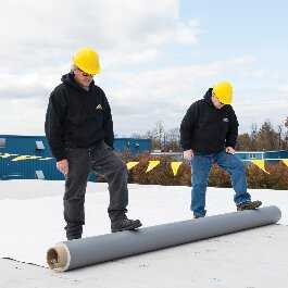 Wertz and Company Images