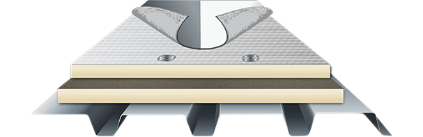 Wertz and Company Images