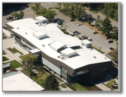 Wertz and Company Images