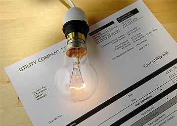 Wertz and Company Inc. Images
